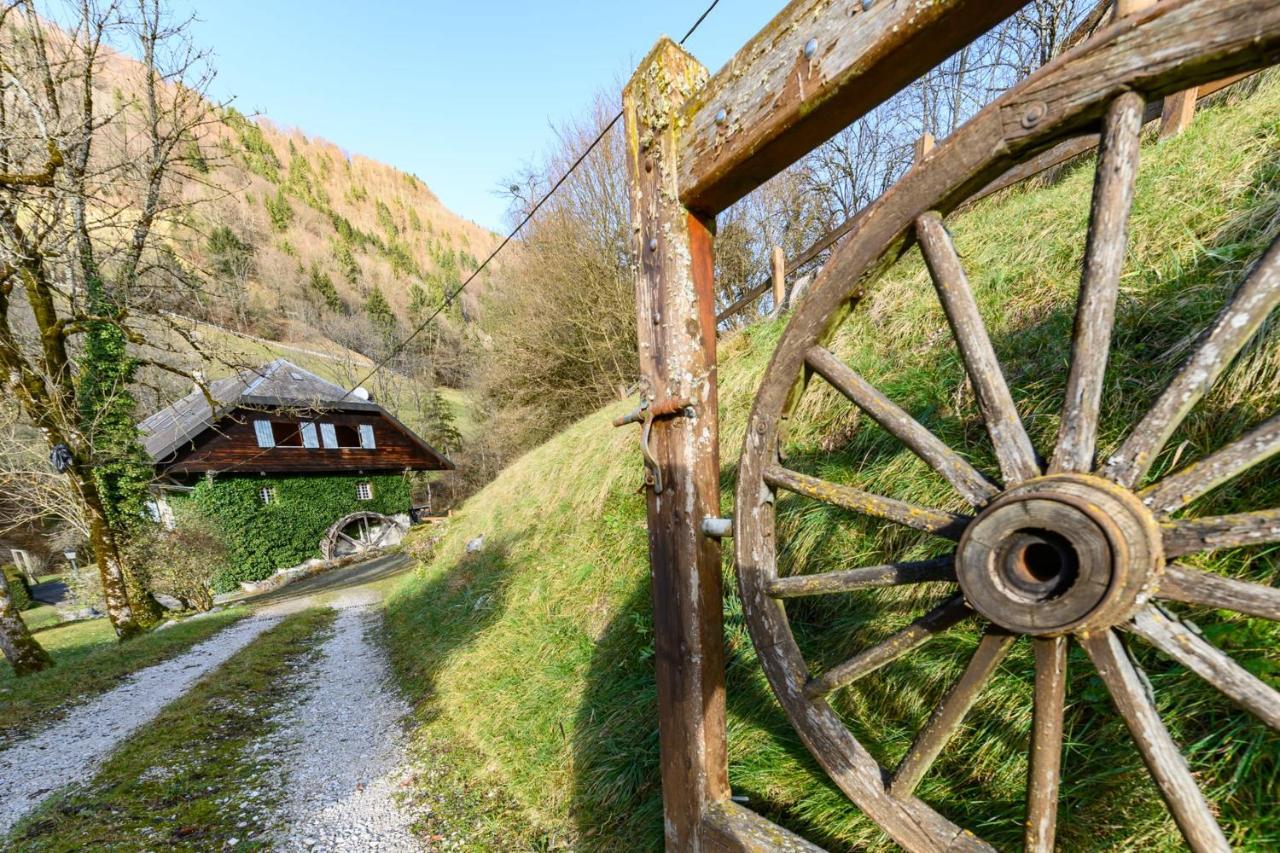 Le Moulin De Dingy - House With 6 Bedrooms & Swimmingpool 20 Mn From Annecy Exterior photo